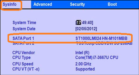 메뉴탭의 SysInfo 이동합니다