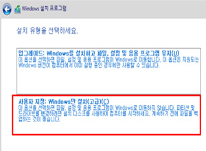 설치 유형에서 사용자 지정(고급) 선택