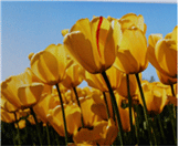 정명에서 정상적으로 보이는 화면