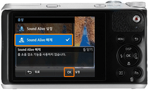 Sound Alive 해제
