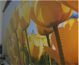 TV를 오른쪽에서 바라 볼 때 TV 왼쪽 화면이 어두워보임