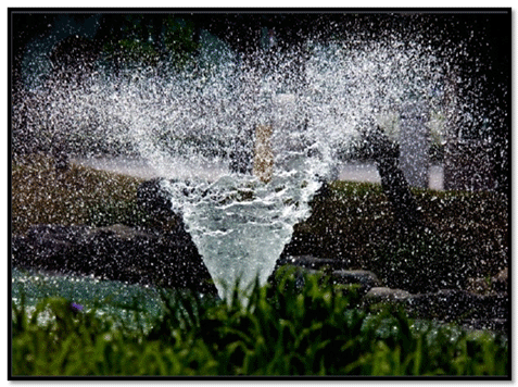 1/2000s 속도로 촬영한 사진