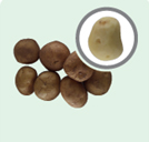 색상 변색 시작