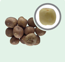 과육 단단함 유지