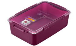 김치통 바닥의 김치숙성도 가이드