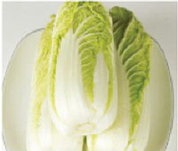 생 배추 생 배추