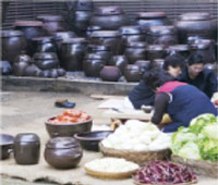 김치를 담그는 모습 김치를 담그는 모습