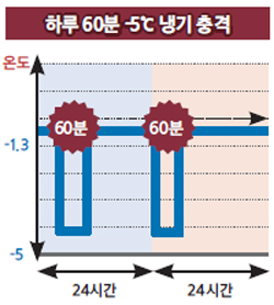 하루 60분 -5 ℃ 냉기 충격 표 이미지